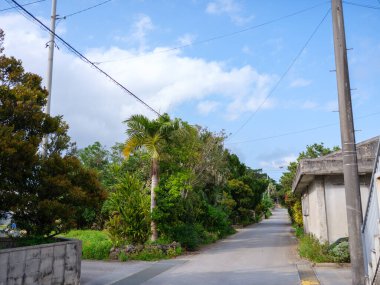 Okinawa 'nın İriomote Adası' ndaki şehir manzarası