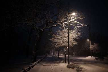 Hokkaido Japonya 'da kar günü