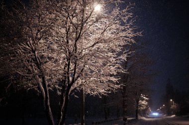 Hokkaido Japonya 'da kar günü