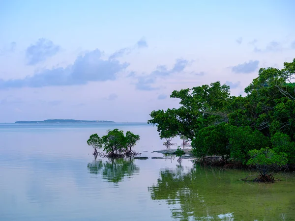 Iriomote Adası Denizi — Stok fotoğraf