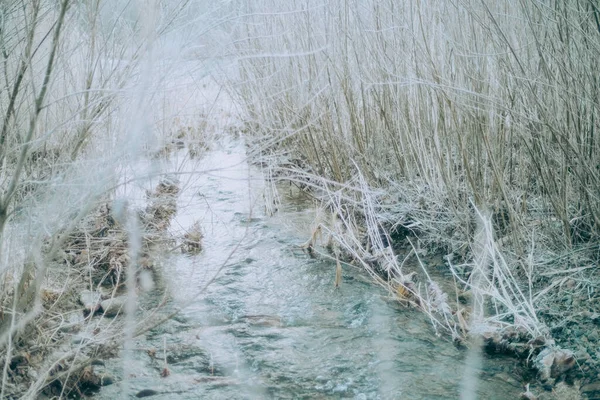 small river in winter hokkaido