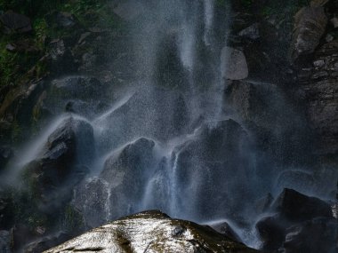 Iriomote Adası 'ndaki Pinaisara Şelalesi