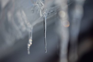 beautiful icicle in winter hokkaido