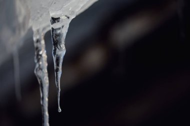 beautiful icicle in winter hokkaido