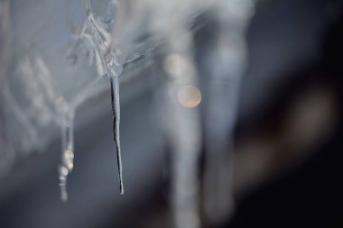 beautiful icicle in winter hokkaido