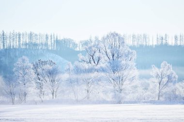 Buz kaplı tişört ve soğuk sis