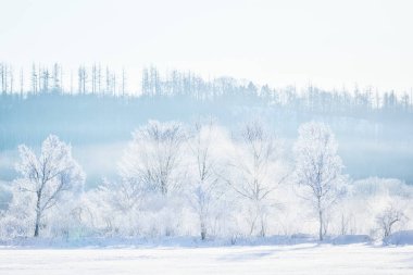 Buz kaplı tişört ve soğuk sis