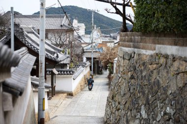 town scape of tomo town