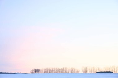 Hokkaido 'da güzel bir sabah manzarası