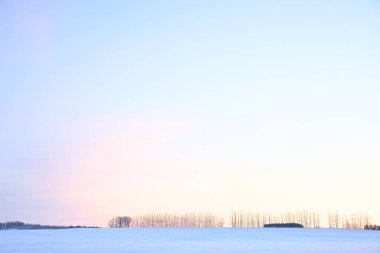 Hokkaido 'da güzel bir sabah manzarası