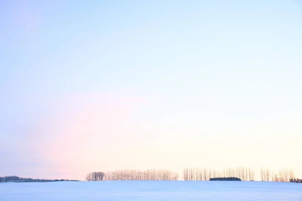 Красивое Утро Хокайдо — стоковое фото