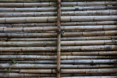 Japonya 'da bambudan yapılmış duvar