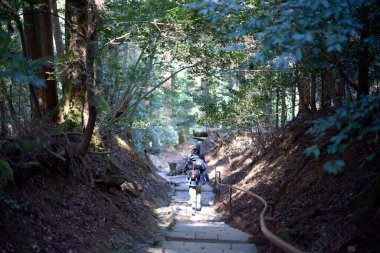 Kyoto 'daki Kurama Dağı Yolu