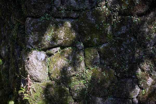 Stenen Muur Met Mos Japan — Stockfoto