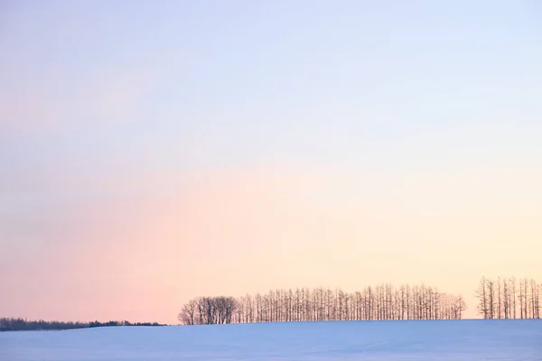 Beautiful Winter Morning Hokkaido — Stock Photo, Image