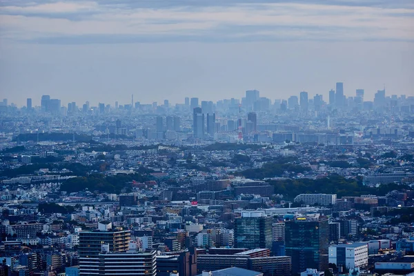 Paesaggio Tokyo Prima Mattina — Foto Stock