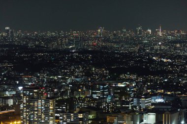 Tokyo ve Yokohama 'nın gece görüşü