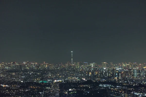 Nattutsikt Över Tokyo Och Yokohama — Stockfoto