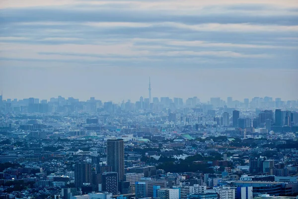 Lanskap Tokyo Pagi Hari — Stok Foto