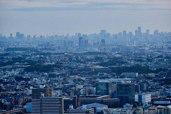 Landschap Van Tokyo Vroege Ochtend — Stockfoto