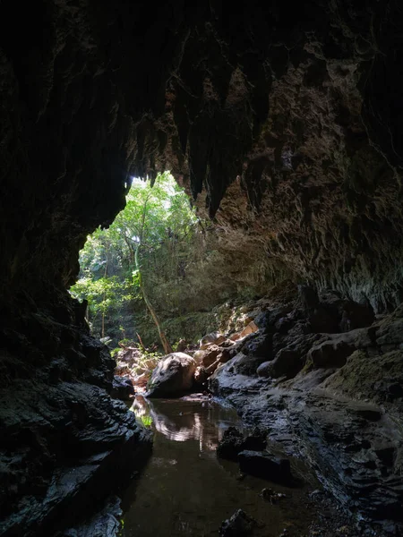 Cueva Piedra Caliza Isla Iriomote — Foto de Stock