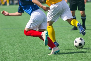 Hokkaido japan 'da futbol maçı