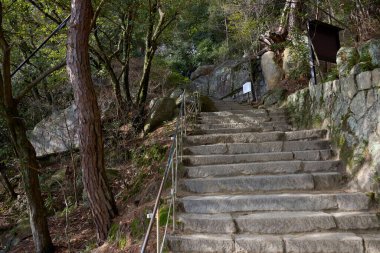 Japonya 'da edebi yol