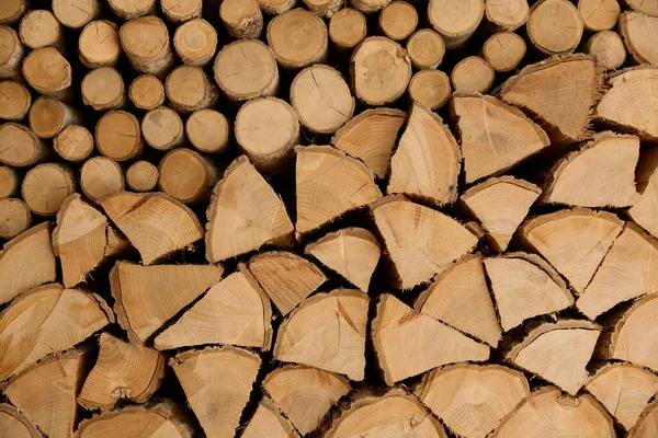 冬の北海道には薪がたくさんあります — ストック写真