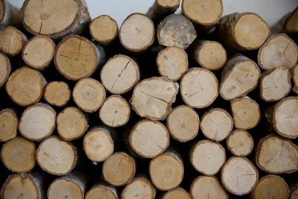 Many Firewood Winter Hokkaido — Stock Photo, Image
