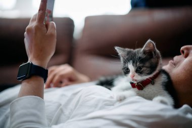 Sahibi küçük kedi yavrusuna dokunuyor.