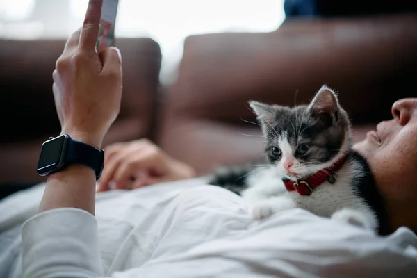 Sahibi Küçük Kedi Yavrusuna Dokunuyor — Stok fotoğraf