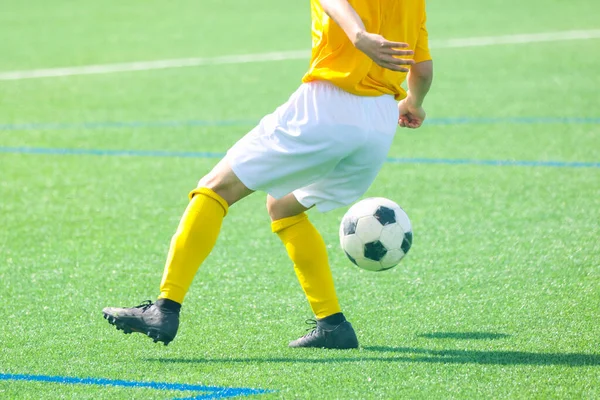 Hokkaido japan 'da futbol maçı