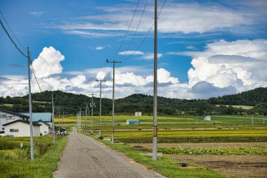 Japonya 'da yaz kenarı
