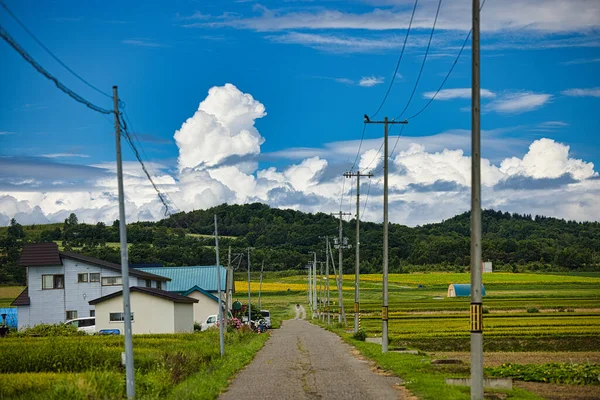 Japonya 'da yaz kenarı