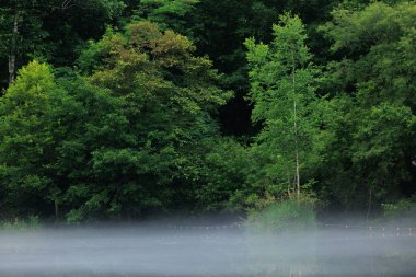 Furano Hokkaido 'daki Torinuma Parkı