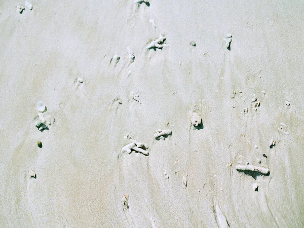 White Sand Summer Beach — Stock Photo, Image