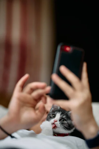 Besitzer Und Katze Bedienen Ein Handy — Stockfoto