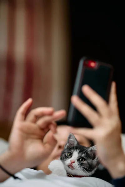 携帯電話を操作するオーナーと猫 — ストック写真