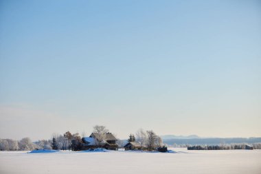 Mavi gökyüzü kışın hokkaido