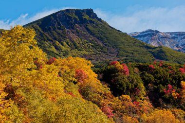 Hokkaido 'daki Tokyo Dağı' nın sonbahar yaprakları