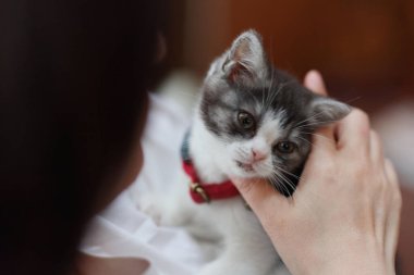 Evin sahibinin yanında kedi yavrusu var.