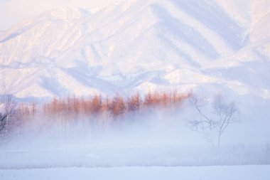 Kışın soğuk sis Hokkaido