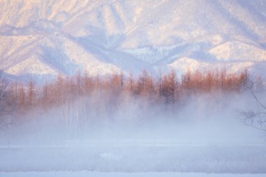 Kışın soğuk sis Hokkaido