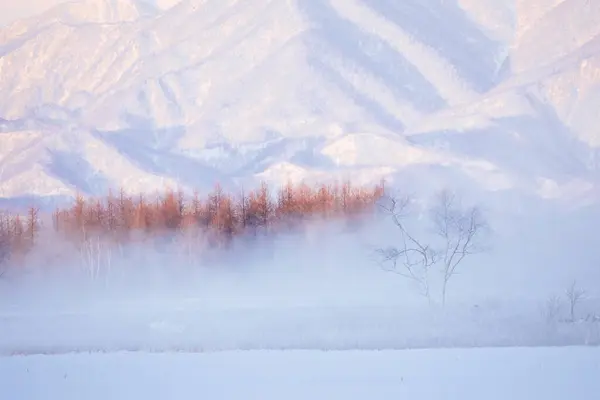 Cold Fog Winter Hokkaido — Stock Photo, Image