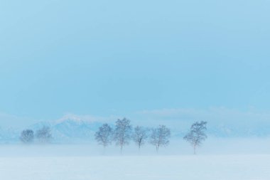 Buz kaplı tişört ve soğuk sis