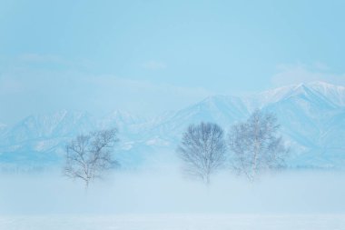 Buz kaplı tişört ve soğuk sis