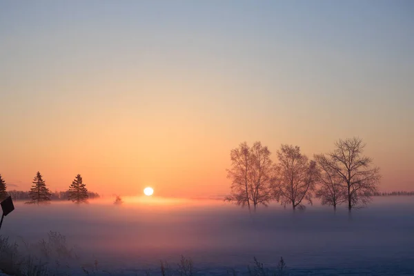 cold fog and sunrise in winter hokkaido