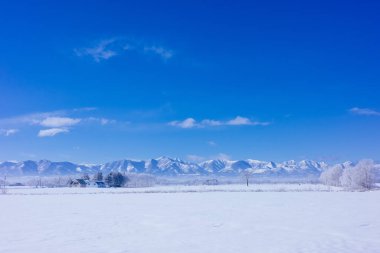 Mavi gökyüzü ve kar tarlası