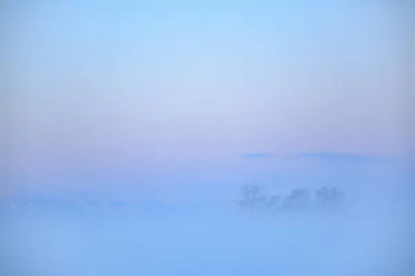 Sunrise Cold Fog Winter — Stock Photo, Image