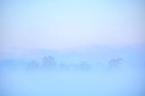 Sunrise Cold Fog Winter — Stock Photo, Image